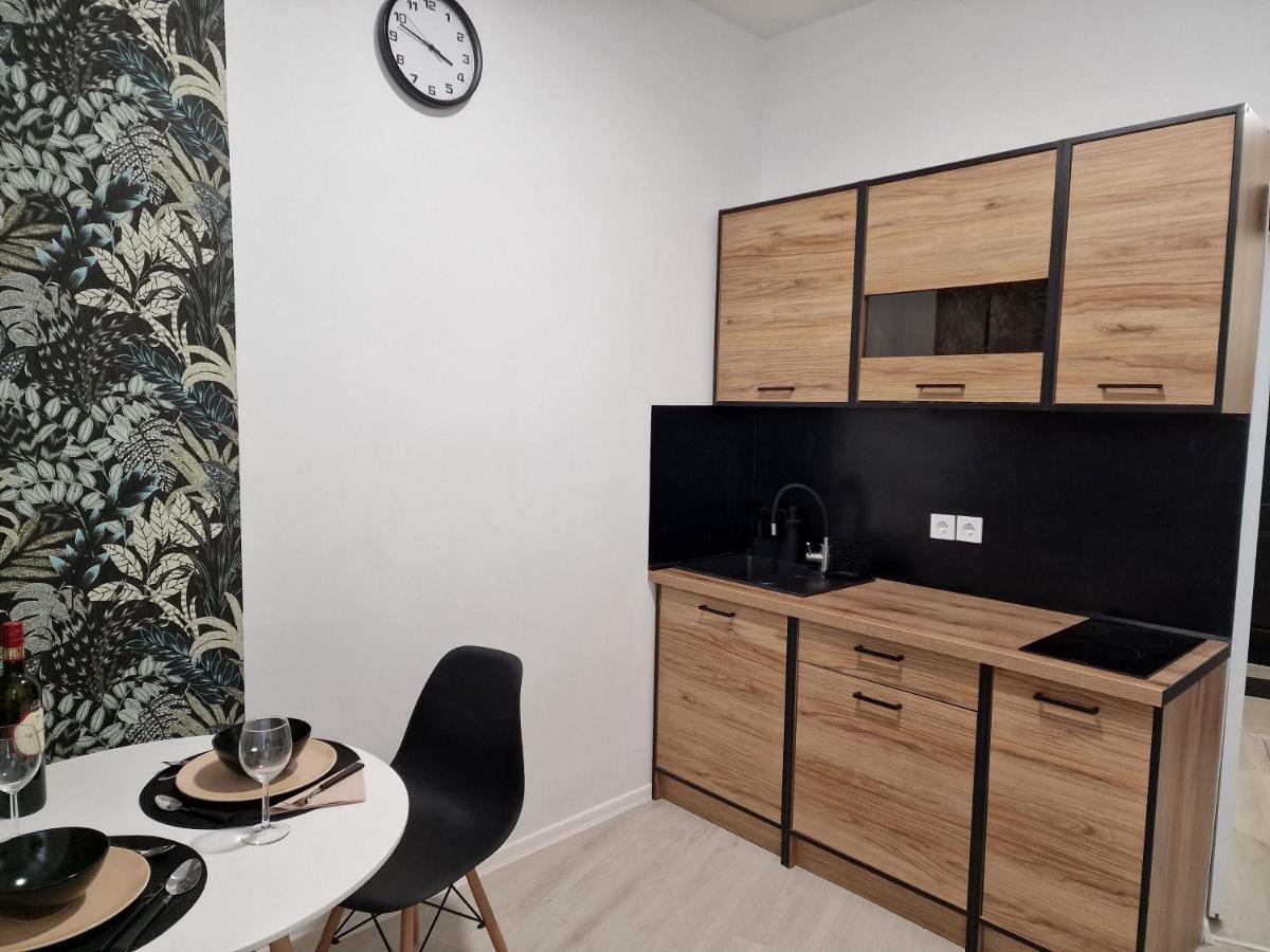 Schmidt Apartman Miskolc Belvarosaban المظهر الخارجي الصورة